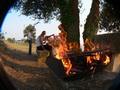barbec